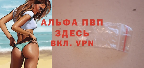 spice Белокуриха